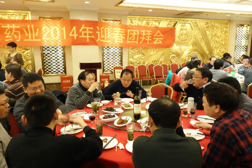 中國最早專業(yè)生產(chǎn)膠囊制劑企業(yè)|鹽酸二甲雙胍片